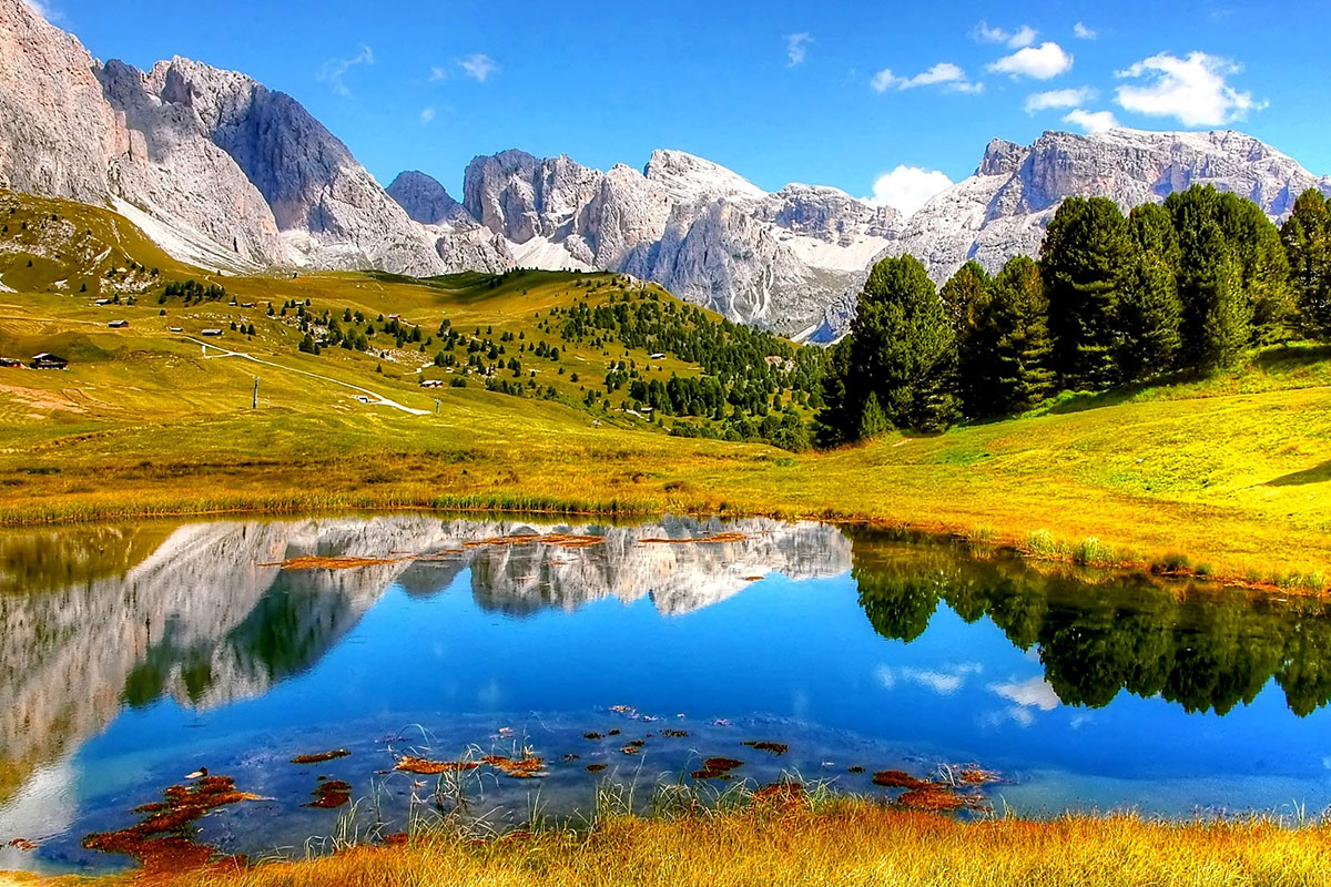 Read more about the article Explore memories