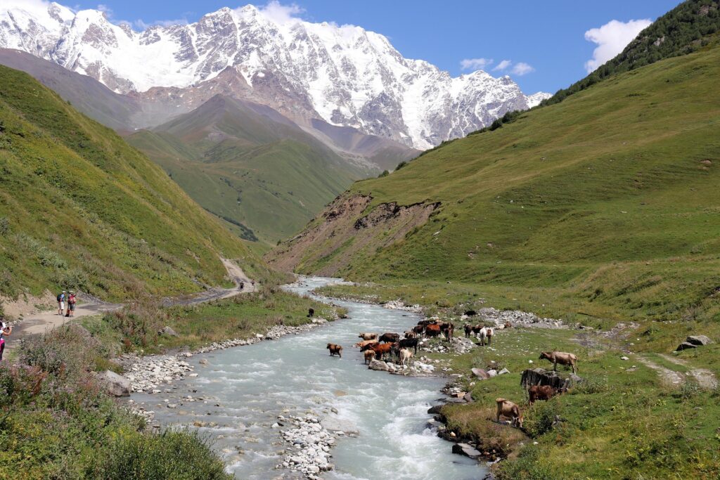 Unforgettable 9-Day Journey Through Georgia’s Wonders