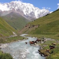 Unforgettable 9-Day Journey Through Georgia’s Wonders